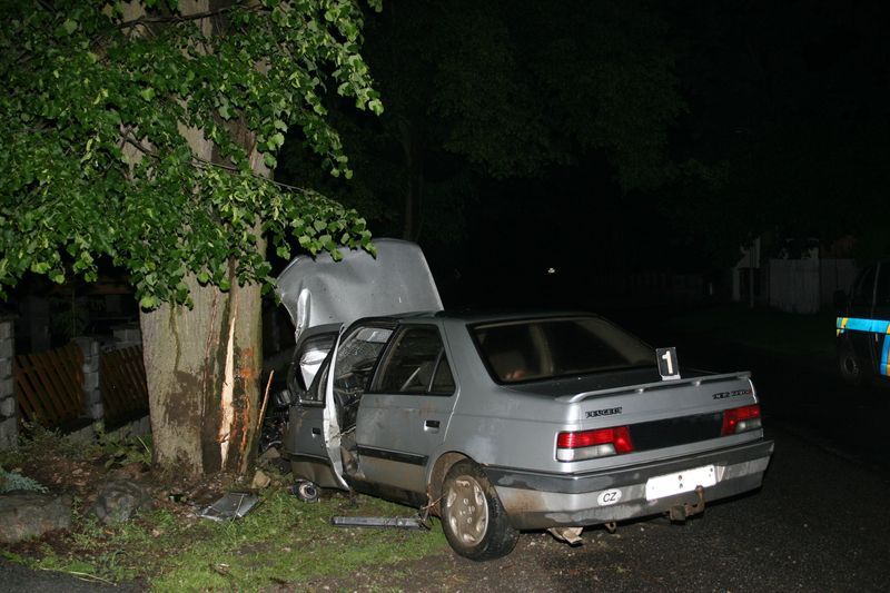 obrázek: Opilý řidič havaroval v Petrkově