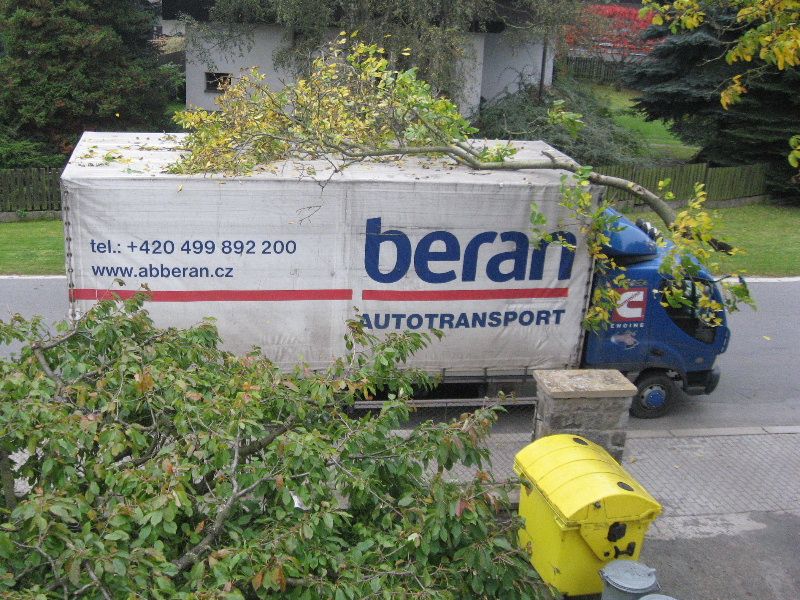 obrázek: Ořechy až před dům nákladním autem, v Brodě není problém