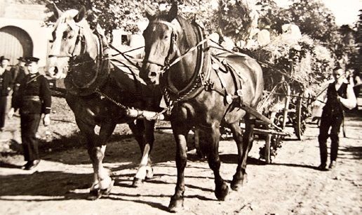 obrázek: Pamětnice odsunu: Nahnali nás do stodoly, kde jsme spali na holé zemi