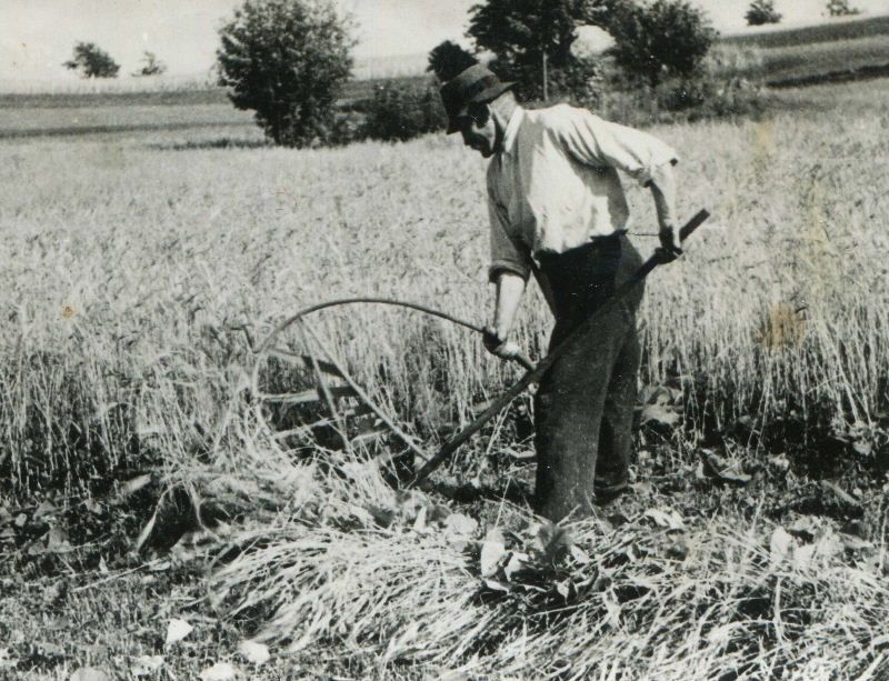 obrázek: Pamětnická publikace již brzy spatří světlo světa