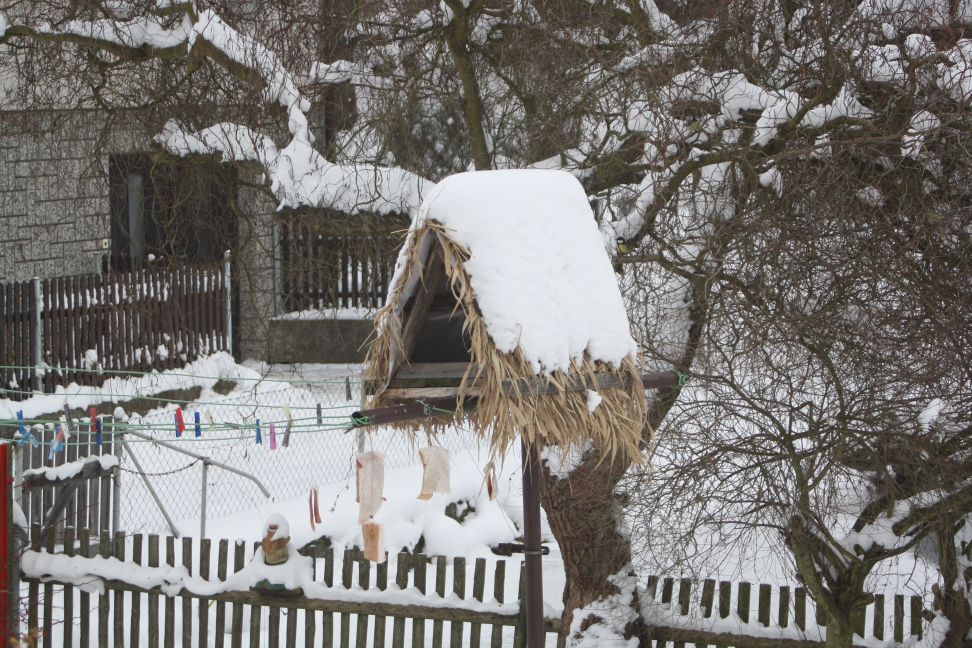 Pavel Koubek: Sýkorky potřebují také pomoc