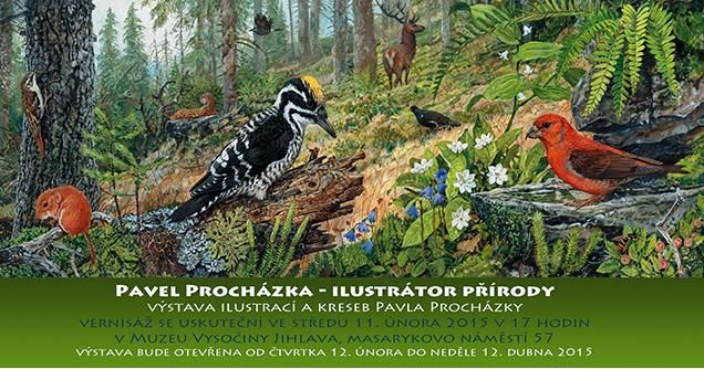 obrázek: Pavel Procházka – ilustrátor přírody se představí v Jihlavě