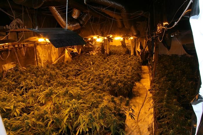 Pěstírna marihuany v Humpolci skončila, policie obvinila dva Vietnamce