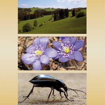 Photographia Natura 2013 zná výsledky