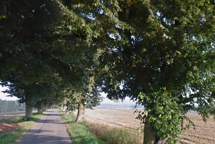 Plechovka pro alej pomůže na Jihlavsku