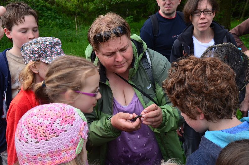 Po stopách divokých orchidejí a obojživelníků