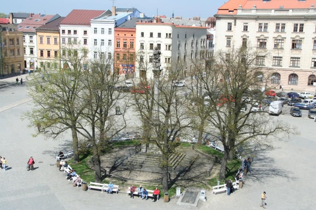 Pod morový sloup v Jihlavě prorůstají kořeny stromů