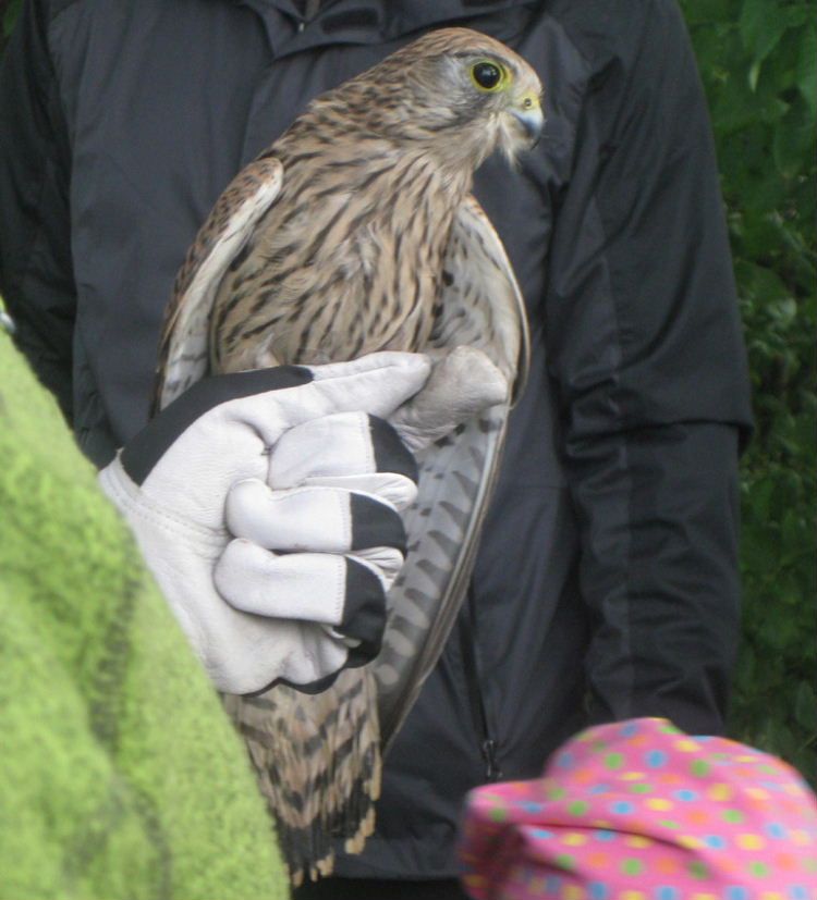 obrázek: Podzimní Festival ptactva v Jihlavě