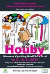 Podzimní výstava hub v Havlíčkově Brodě