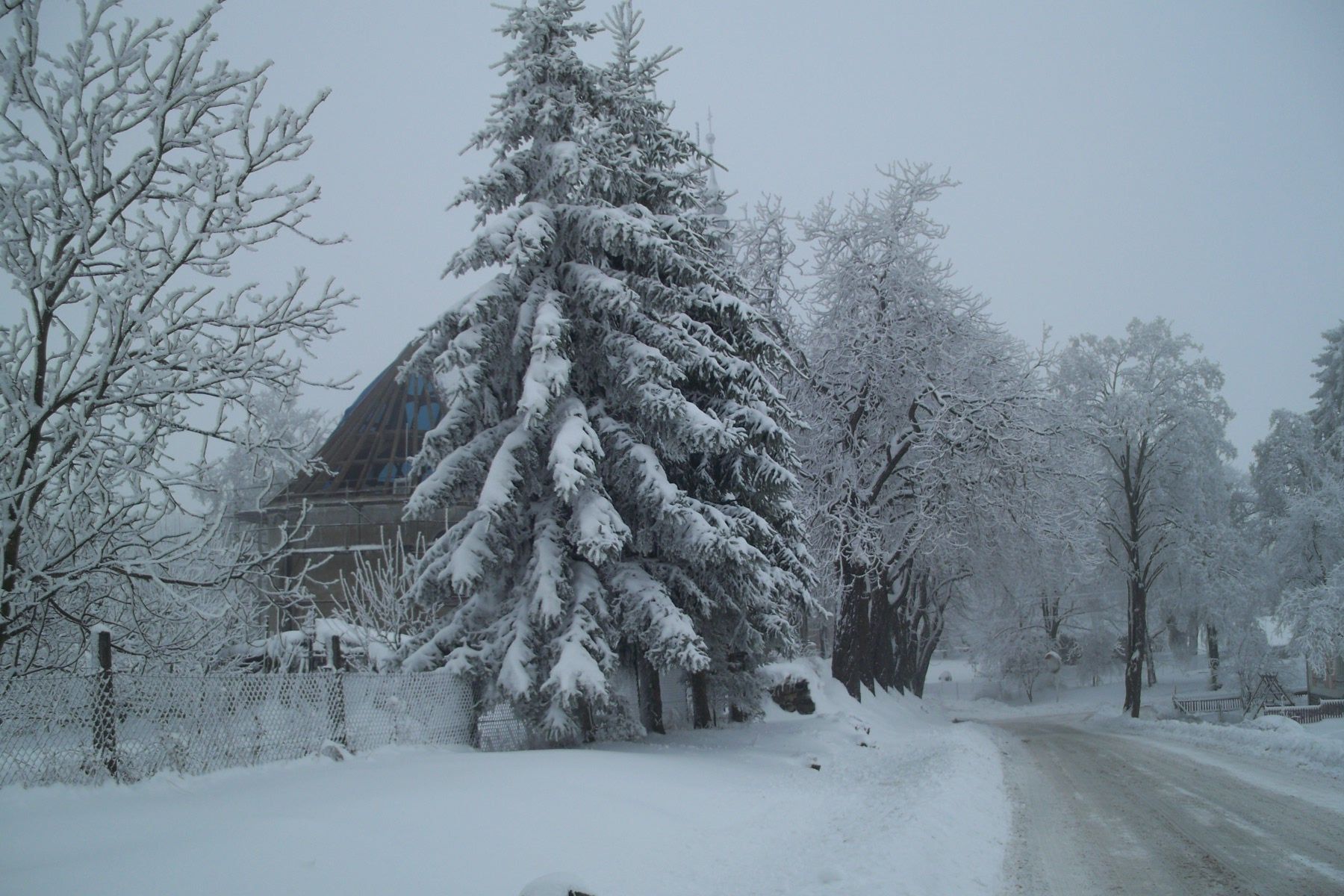 Polnička pořádá Novoroční procházku