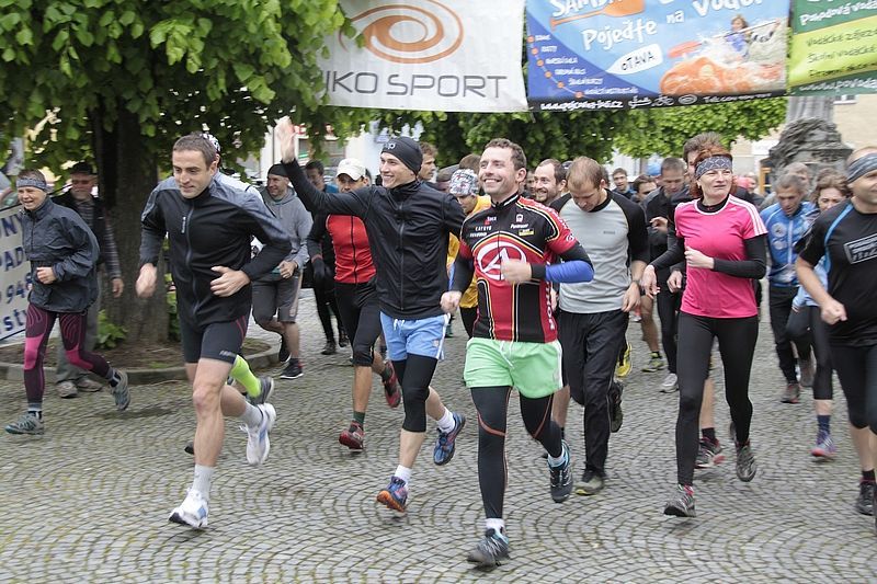 obrázek: Posázavský drsoň v Ledči nad Sázavou