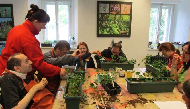 obrázek: Prázdninová nabídka Klubu Lebeda