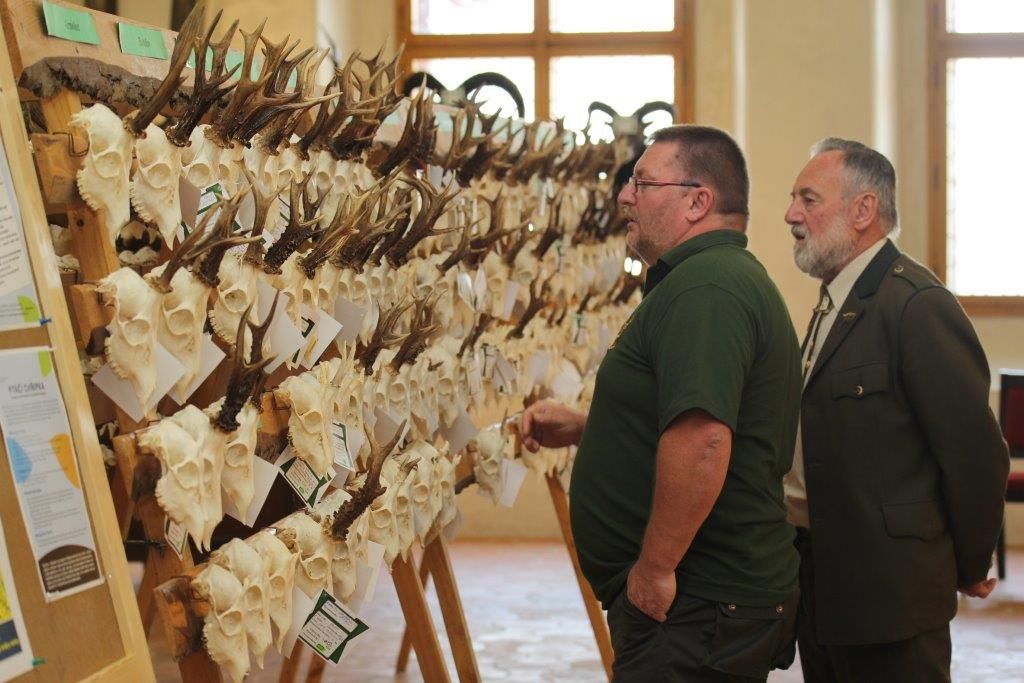 obrázek: Přehlídka na jihlavské radnici ukazuje raritní trofeje