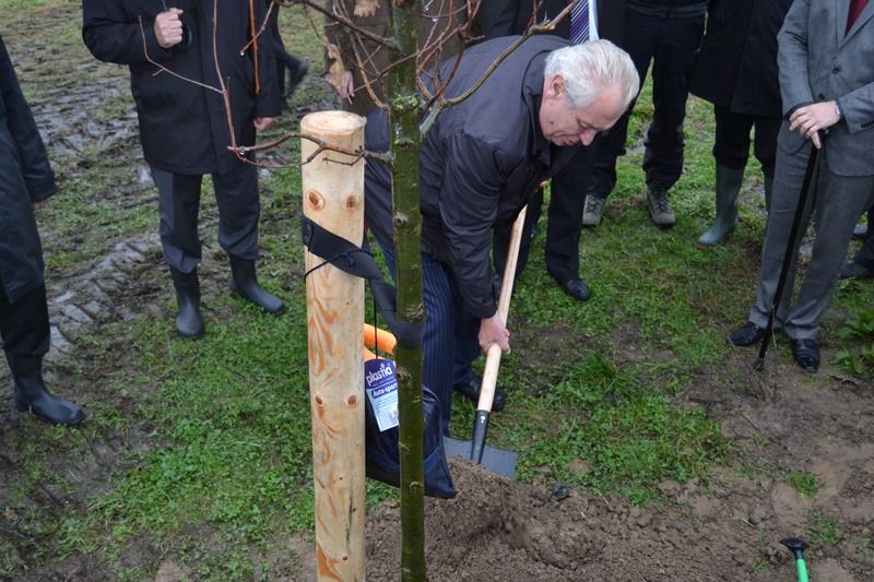 Prezident s hejtmany vysadil v Novém Veselí dubovou alej