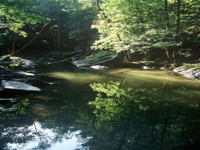Při procházce údolí Doubravy se vážně zranila
