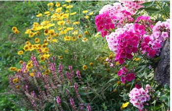 obrázek: Přírodní zahrady v Novém Městě na Moravě