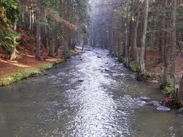 Přírodovědci prověří bahno v Doubravce