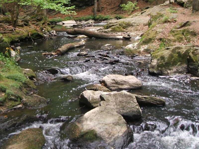 obrázek: Přístup do údolí Doubravy omezí rekonstrukce naučné stezky