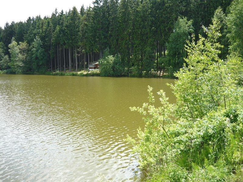 Proč se v rybnících na Vysočině nedá koupat?