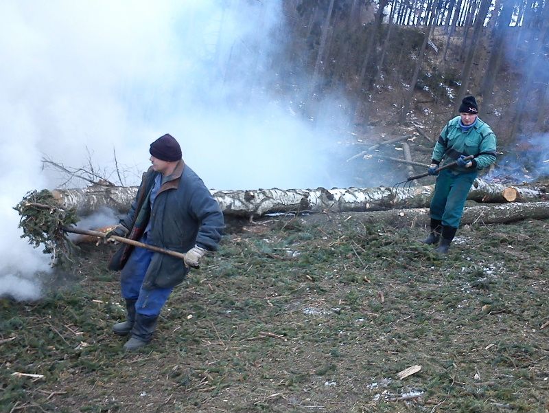 obrázek: Projekt Za prací do lesa se ve Fokusu naplnil