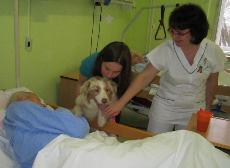 Psi docházejí nejen na dětské oddělení brodské nemocnice