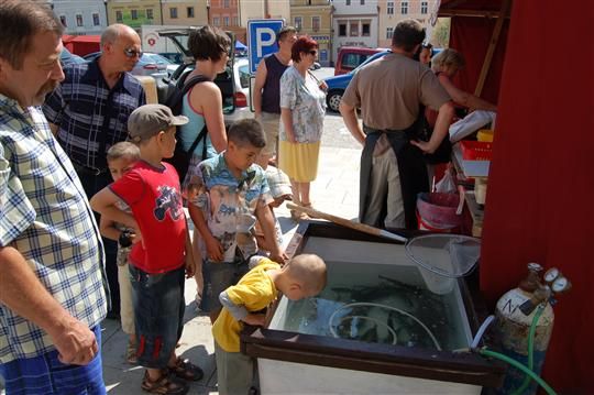 obrázek: Pstruhová farma z Břevnice na Koudelově talíři v Brodě