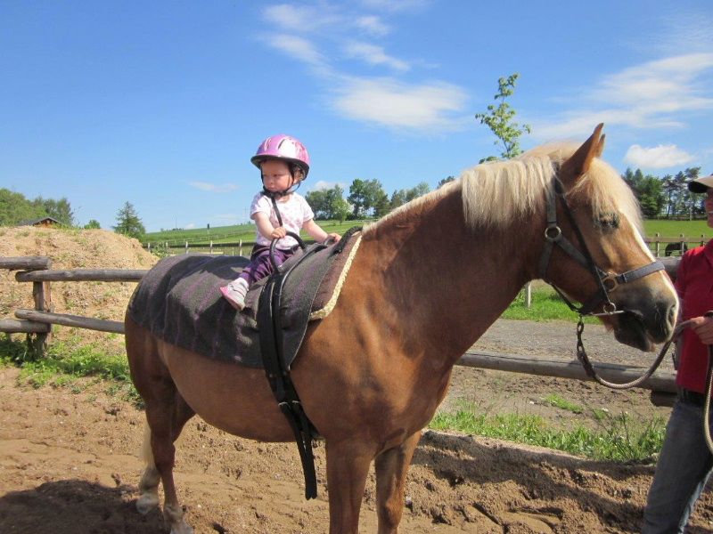 obrázek: Raná péče v sedle