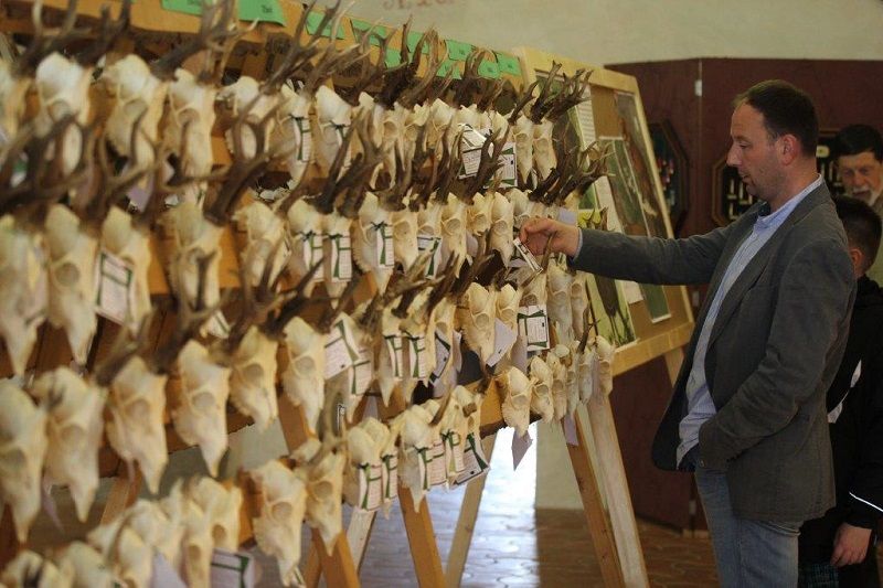 obrázek: Raritní trofeje k vidění v jihlavské radnici