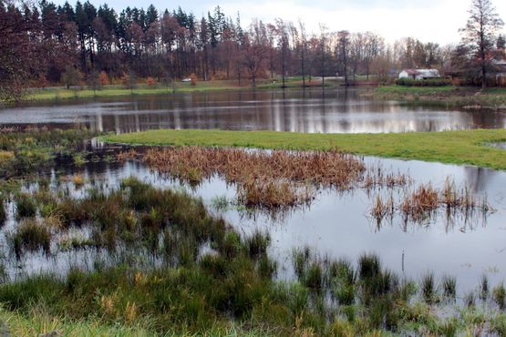 Revitalizace Cihlářského potoka je u konce
