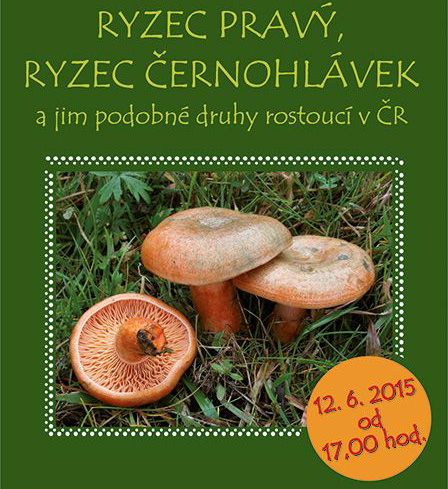 obrázek: Ryzce představí v jihlavském muzeu