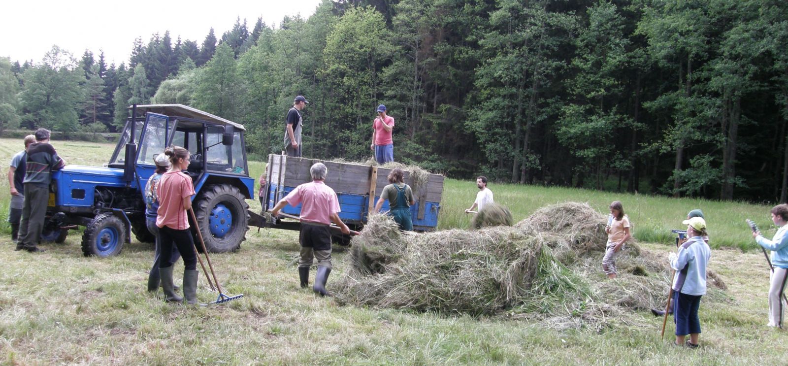Sdružení Krajina i letos pomůže při péči o chráněná území a zeleň ve městech