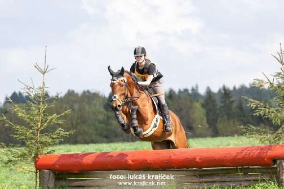 Seriál závodů Zlatá podkova 2014