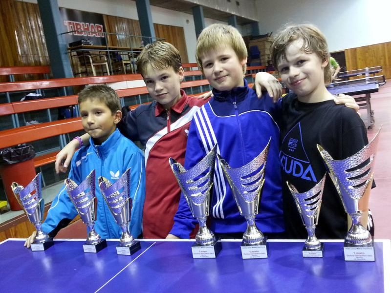 obrázek: Šest medailí pro stolní tenisty Vysočiny z Ostravy a Havířova