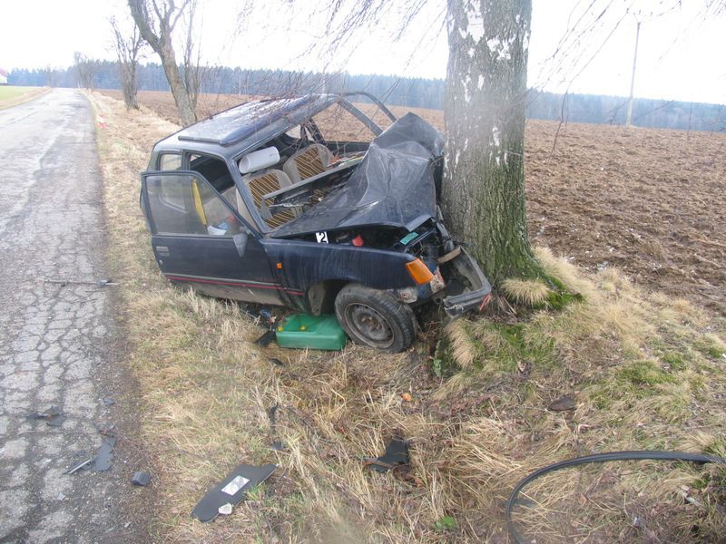 Šestnáctiletý řidič skončil s autem ve stromě