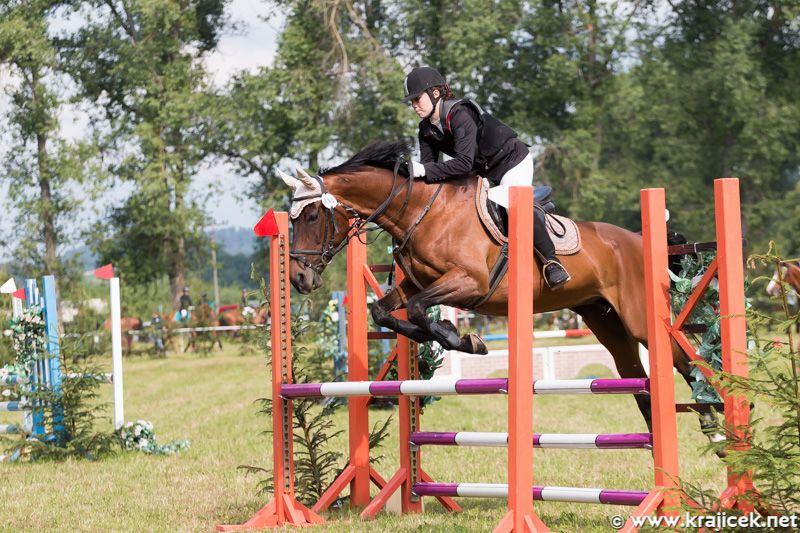 Skokový pohár Vysočiny 2015 pokračoval v Dešné