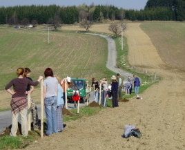 Školáci na Vysočině zasadí tři desítky stromů