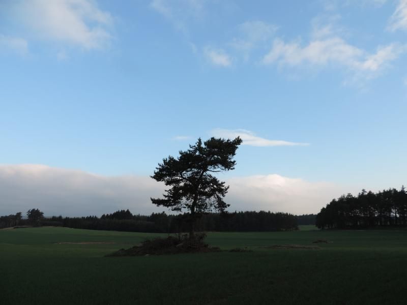 Sobota v Třebíči patřila turistům
