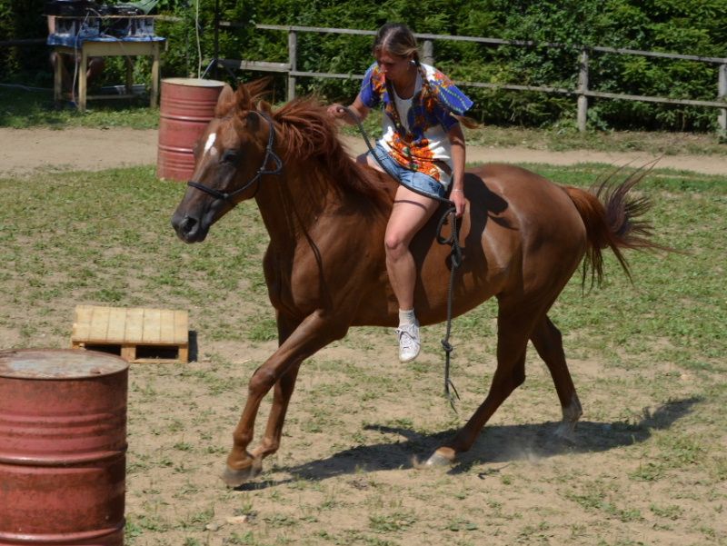 Sobotní odpoledne s koňmi si užili děti i dospělí