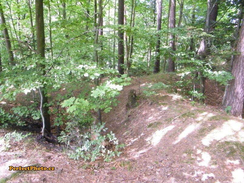 Sokolovec – bývalý hrad u Bílku, který býval sídlem loupeživých rytířů