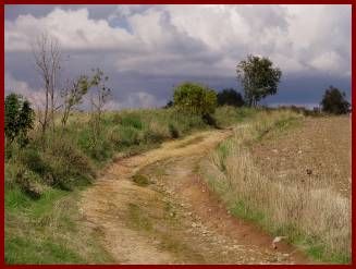 obrázek: Soutěž Photographia natura 2014 po jedenácté