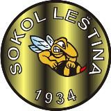 Střelecké hody v Leštině, Budíkov veze domů devět branek