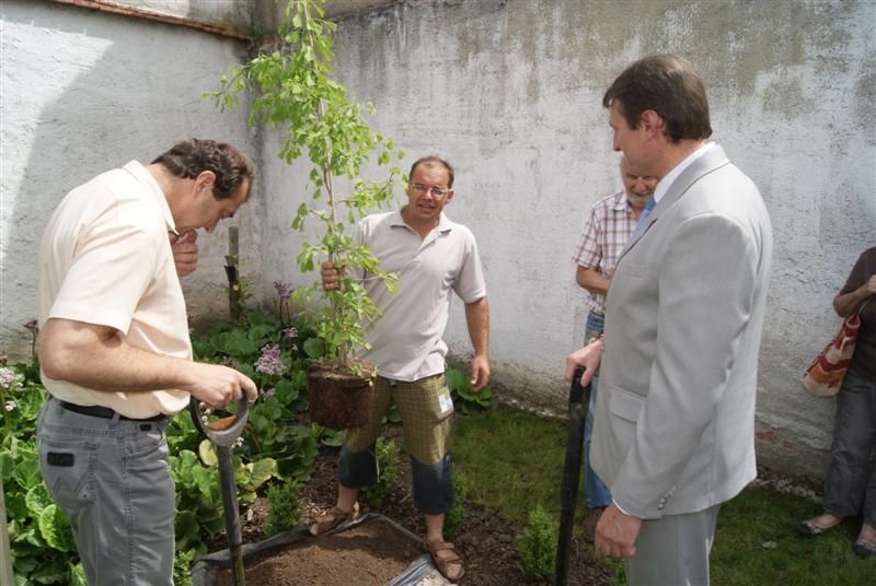 Strom na památku Jana Adama z Questenberga zasazen