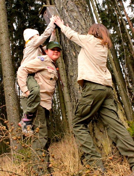 obrázek: Světlušky a skautky v Třebíči čistí ptačí budky