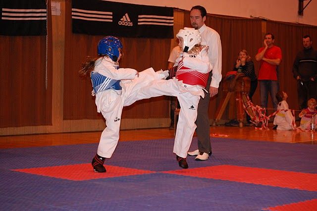 Taekwondo po roce opět v Pelhřimově