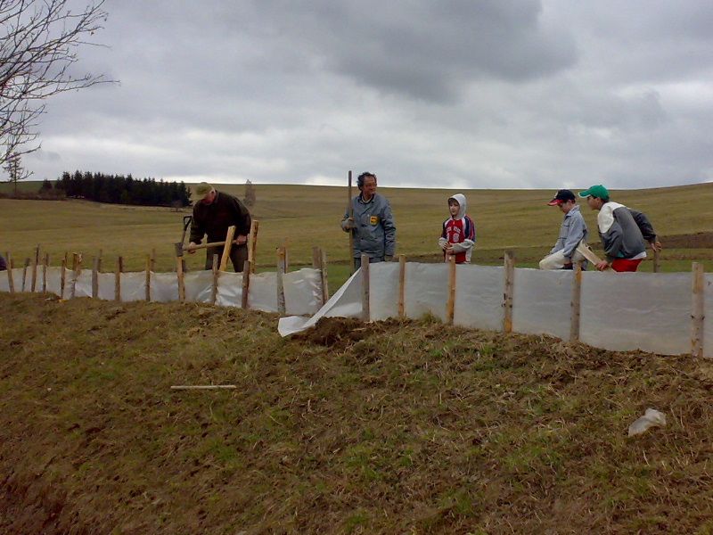 Také na Jihlavsku pomahájí žábám