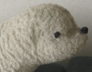 obrázek: Tereza Límanová se představí v Brodě U Notáře