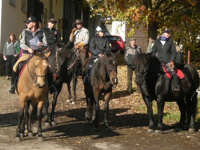 Tradiční slavnost koní v Rozsochatci