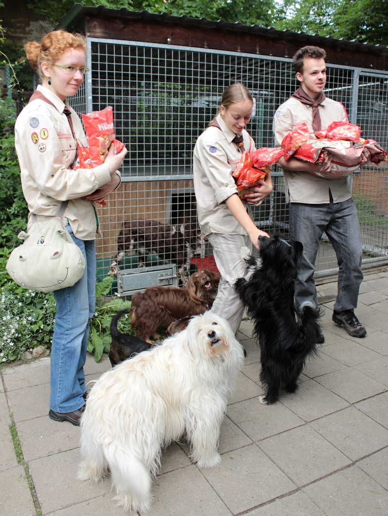 obrázek: Třebíčské Sasanky opět pomohly Útulku pro opuštěná zvířata