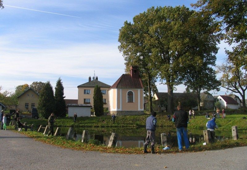 Tři úlovky v Olešnici