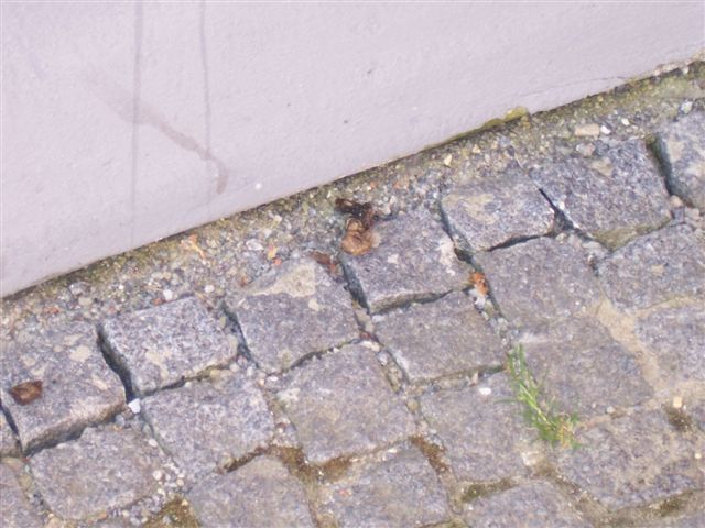 Ulice a sídliště v Pelhřimově budou čistší